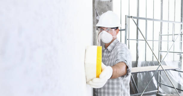 Best Mold Remediation for Healthcare Facilities  in Myrtle Grove, FL