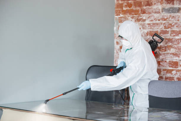 Best Mold Damage Restoration  in Myrtle Grove, FL